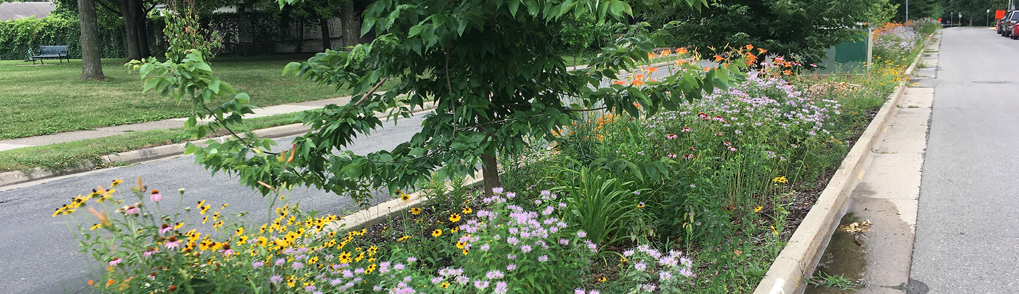 Street greening