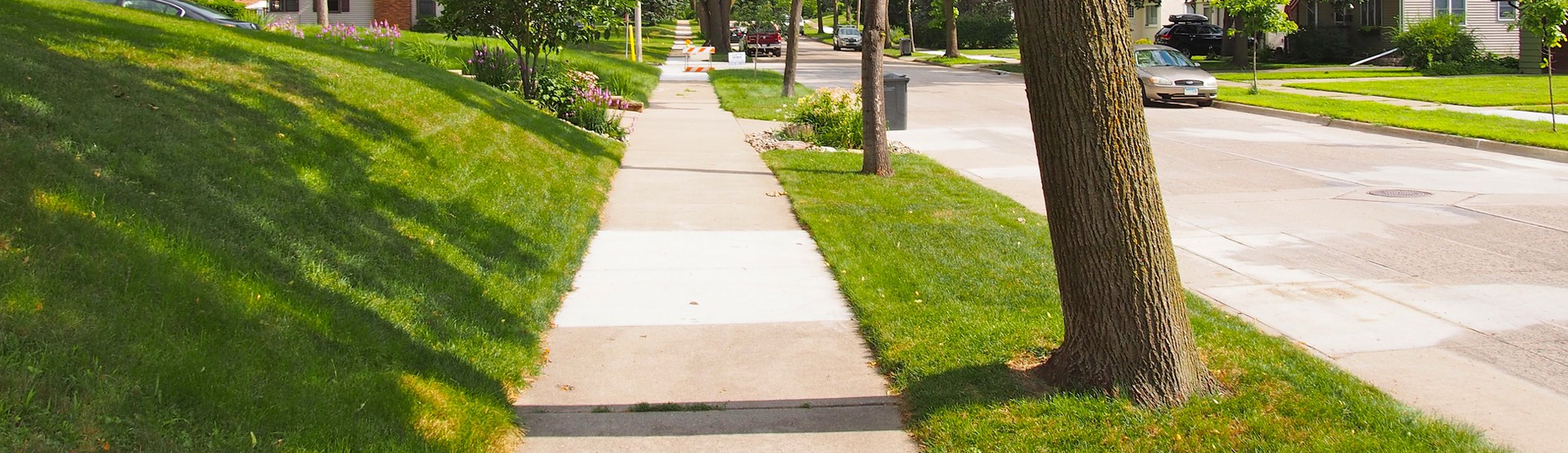 Street trees